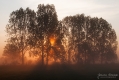 008_Biebrza - maj 2013